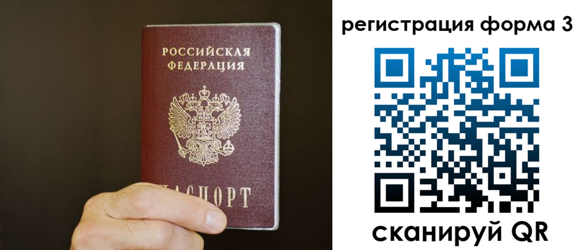 где прописаться в Волосово